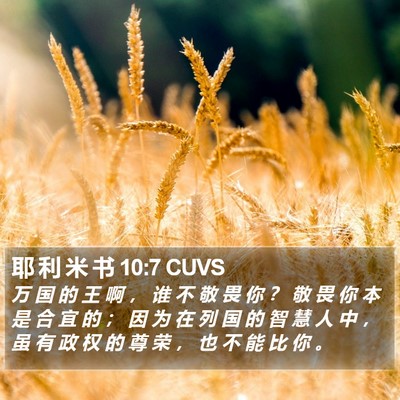 耶 利 米 书 10:7 CUVS Bible Verse Image
