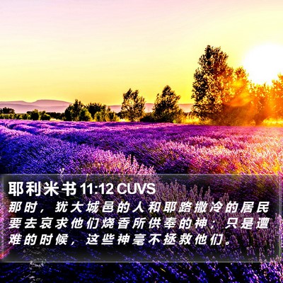 耶 利 米 书 11:12 CUVS Bible Verse Image