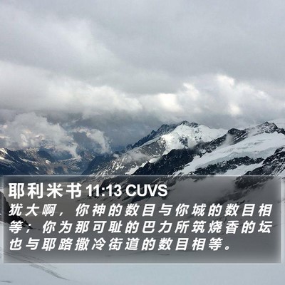 耶 利 米 书 11:13 CUVS Bible Verse Image