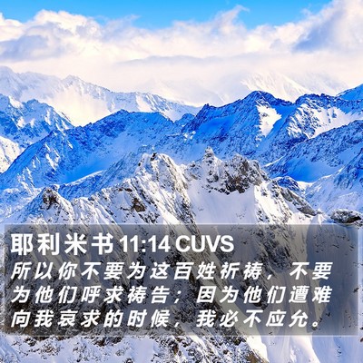 耶 利 米 书 11:14 CUVS Bible Verse Image