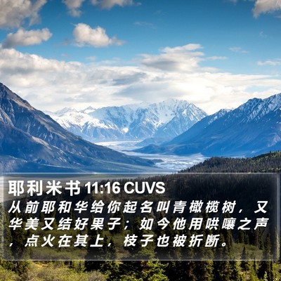 耶 利 米 书 11:16 CUVS Bible Verse Image