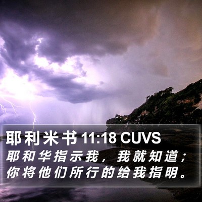 耶 利 米 书 11:18 CUVS Bible Verse Image