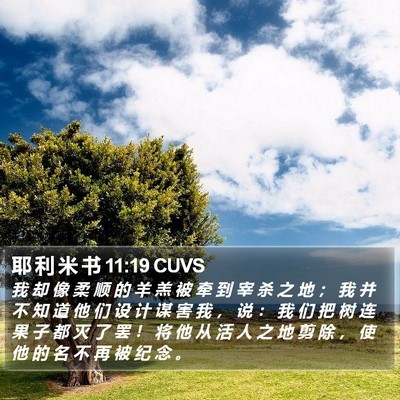耶 利 米 书 11:19 CUVS Bible Verse Image