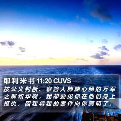 耶 利 米 书 11:20 CUVS Bible Verse Image