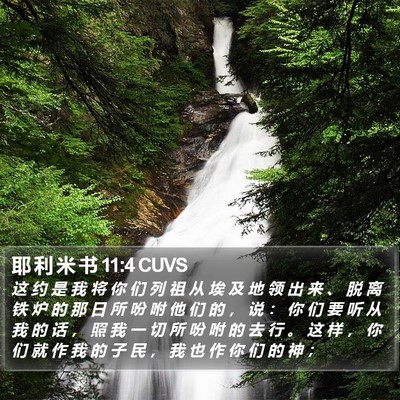 耶 利 米 书 11:4 CUVS Bible Verse Image