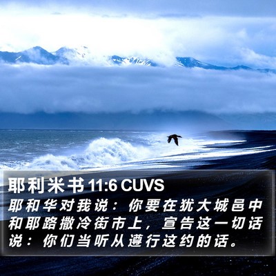 耶 利 米 书 11:6 CUVS Bible Verse Image