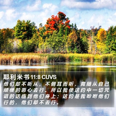 耶 利 米 书 11:8 CUVS Bible Verse Image