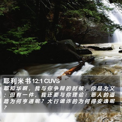 耶 利 米 书 12:1 CUVS Bible Verse Image