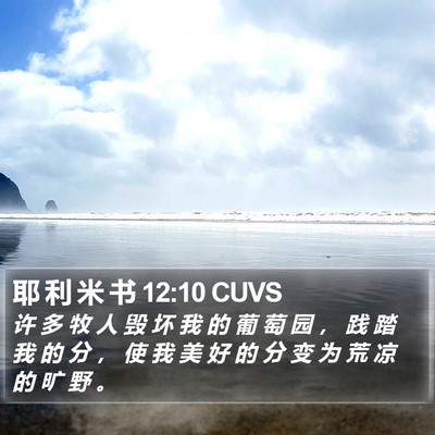 耶 利 米 书 12:10 CUVS Bible Verse Image