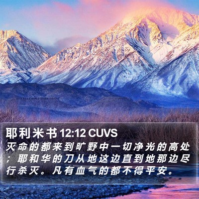 耶 利 米 书 12:12 CUVS Bible Verse Image