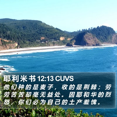 耶 利 米 书 12:13 CUVS Bible Verse Image