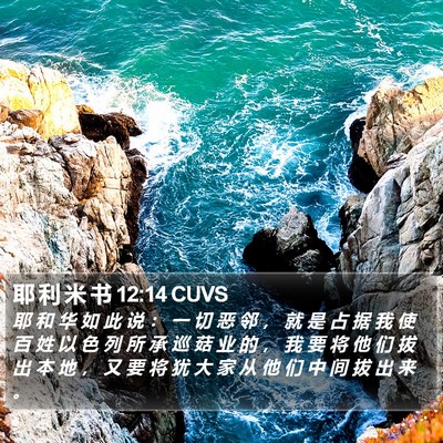 耶 利 米 书 12:14 CUVS Bible Verse Image