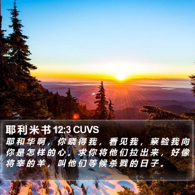 耶 利 米 书 12:3 CUVS Bible Verse Image
