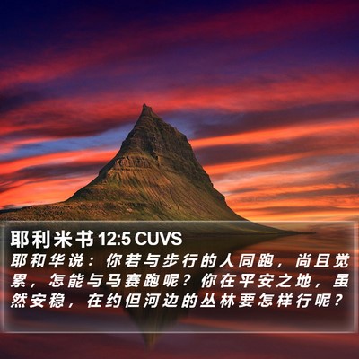 耶 利 米 书 12:5 CUVS Bible Verse Image