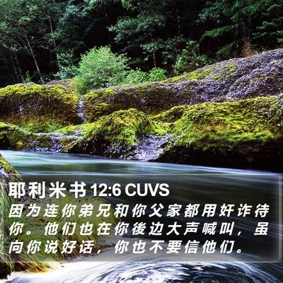 耶 利 米 书 12:6 CUVS Bible Verse Image