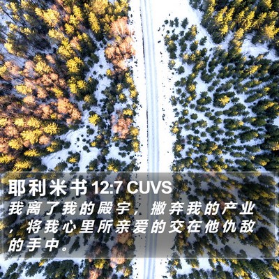 耶 利 米 书 12:7 CUVS Bible Verse Image