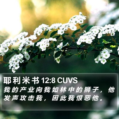 耶 利 米 书 12:8 CUVS Bible Verse Image