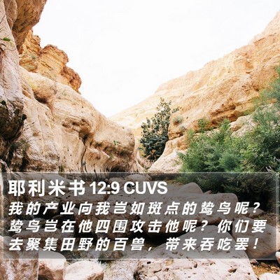 耶 利 米 书 12:9 CUVS Bible Verse Image