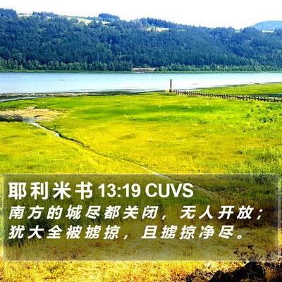 耶 利 米 书 13:19 CUVS Bible Verse Image