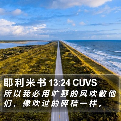 耶 利 米 书 13:24 CUVS Bible Verse Image