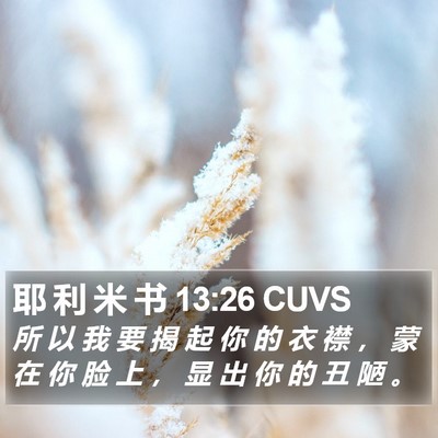 耶 利 米 书 13:26 CUVS Bible Verse Image