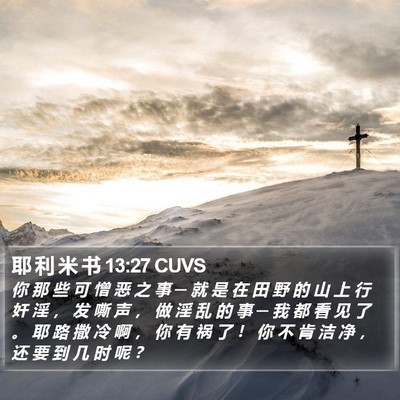 耶 利 米 书 13:27 CUVS Bible Verse Image