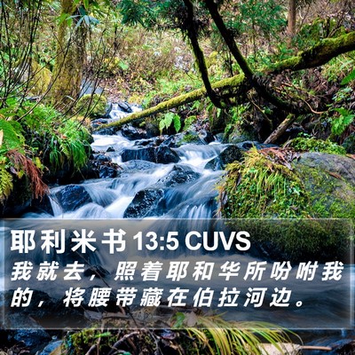 耶 利 米 书 13:5 CUVS Bible Verse Image