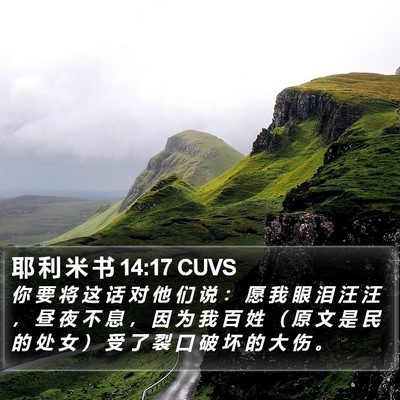 耶 利 米 书 14:17 CUVS Bible Verse Image