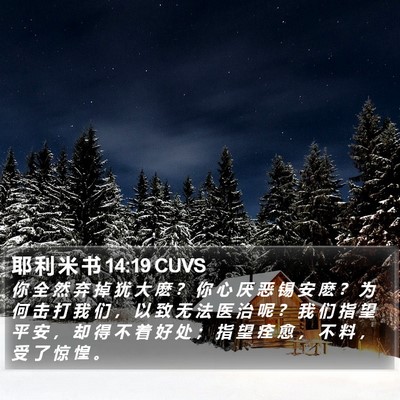 耶 利 米 书 14:19 CUVS Bible Verse Image