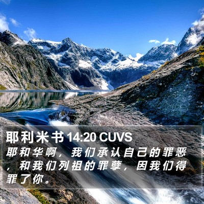 耶 利 米 书 14:20 CUVS Bible Verse Image