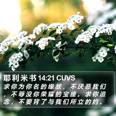 耶 利 米 书 14:21 CUVS Bible Verse Image