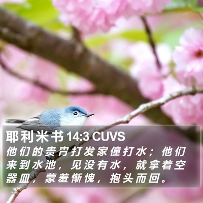 耶 利 米 书 14:3 CUVS Bible Verse Image
