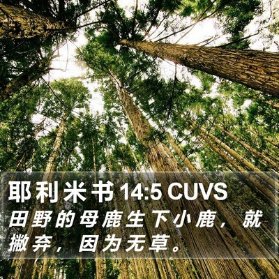 耶 利 米 书 14:5 CUVS Bible Verse Image