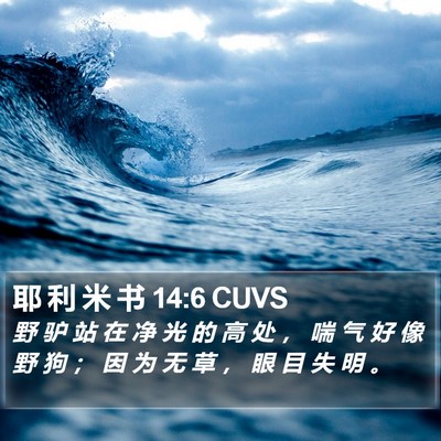 耶 利 米 书 14:6 CUVS Bible Verse Image