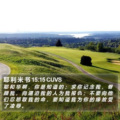 耶 利 米 书 15:15 CUVS Bible Verse Image