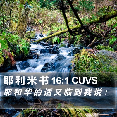 耶 利 米 书 16:1 CUVS Bible Verse Image