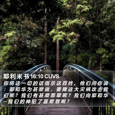 耶 利 米 书 16:10 CUVS Bible Verse Image