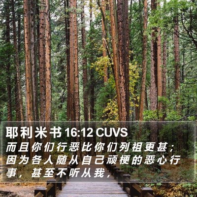耶 利 米 书 16:12 CUVS Bible Verse Image