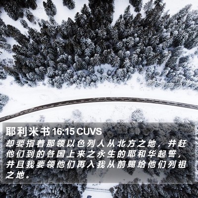 耶 利 米 书 16:15 CUVS Bible Verse Image
