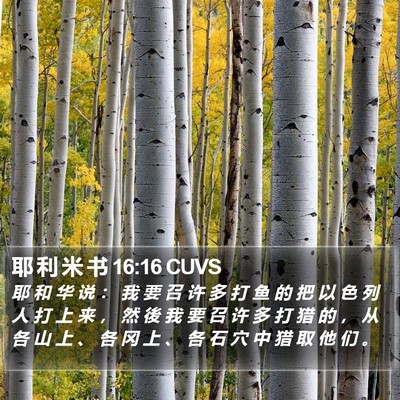 耶 利 米 书 16:16 CUVS Bible Verse Image