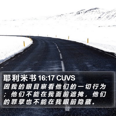 耶 利 米 书 16:17 CUVS Bible Verse Image