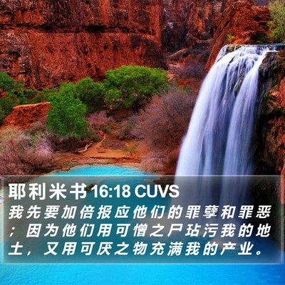 耶 利 米 书 16:18 CUVS Bible Verse Image