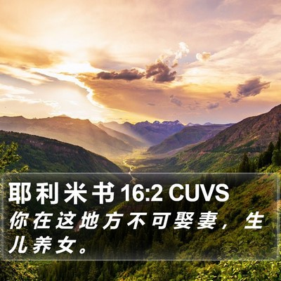 耶 利 米 书 16:2 CUVS Bible Verse Image