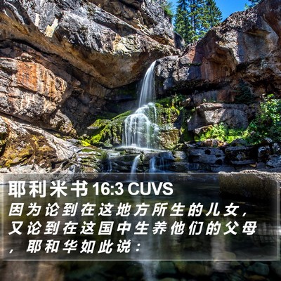 耶 利 米 书 16:3 CUVS Bible Verse Image