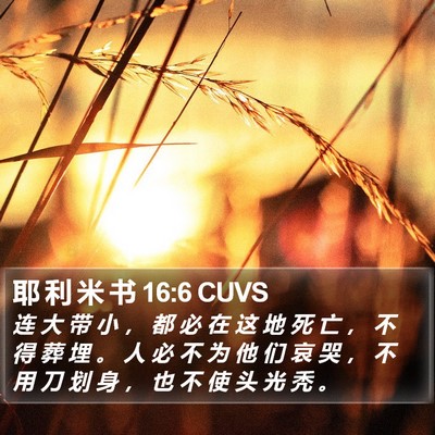 耶 利 米 书 16:6 CUVS Bible Verse Image