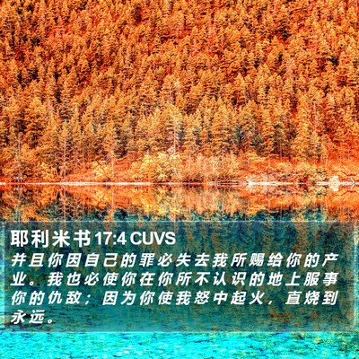 耶 利 米 书 17:4 CUVS Bible Verse Image