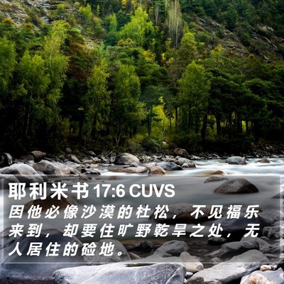 耶 利 米 书 17:6 CUVS Bible Verse Image