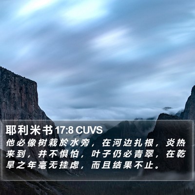 耶 利 米 书 17:8 CUVS Bible Verse Image