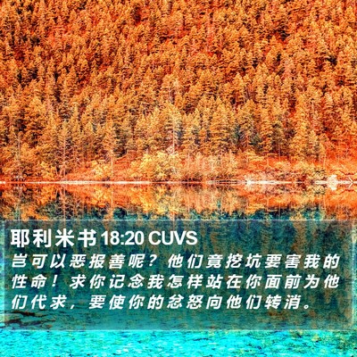 耶 利 米 书 18:20 CUVS Bible Verse Image
