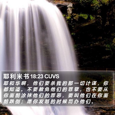 耶 利 米 书 18:23 CUVS Bible Verse Image